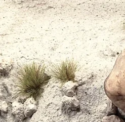 Acrílico Textura 215 Arena Gris Diorama FX Vallejo 200ml