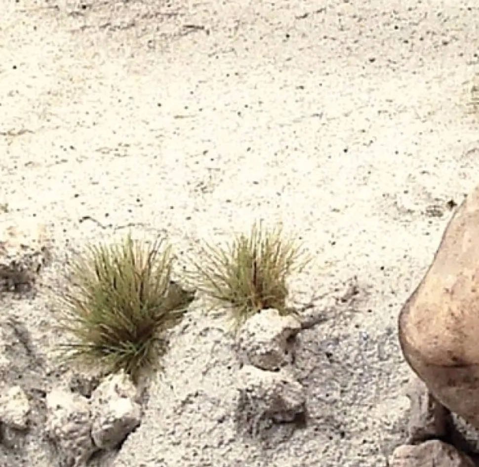 Acrílico Textura 215 Arena Gris Diorama FX Vallejo 200ml