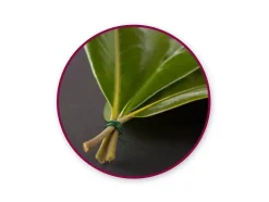 Alambre de carrete Multicraft 36m