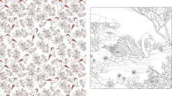 Beautiful Nature Coloring Book