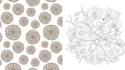 Beautiful Nature Coloring Book