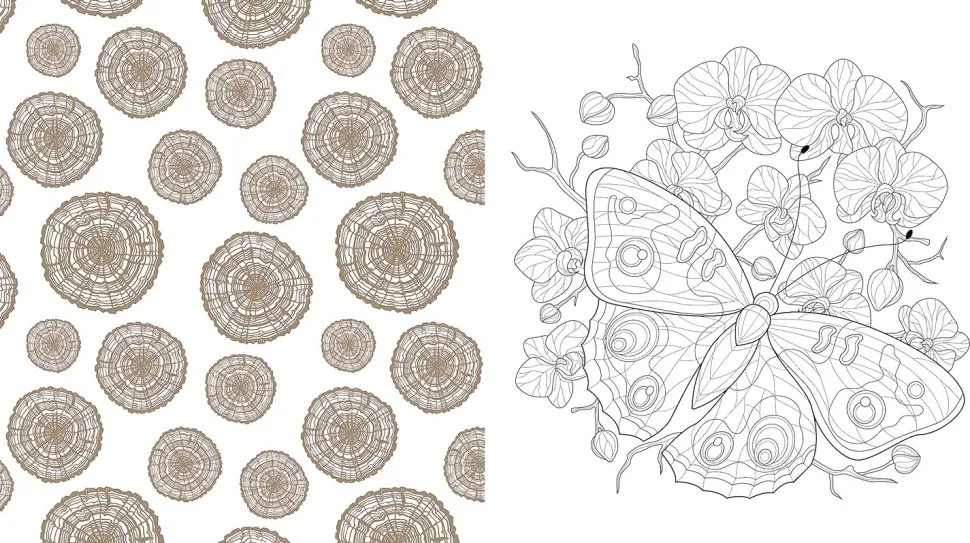 Beautiful Nature Coloring Book