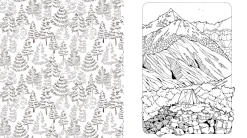 Beautiful Nature Coloring Book