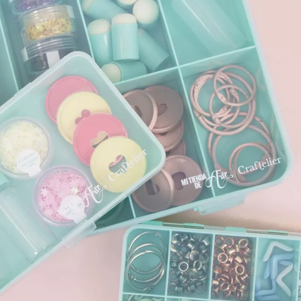 Caja con 10 Compartimentos Rosa Craftelier