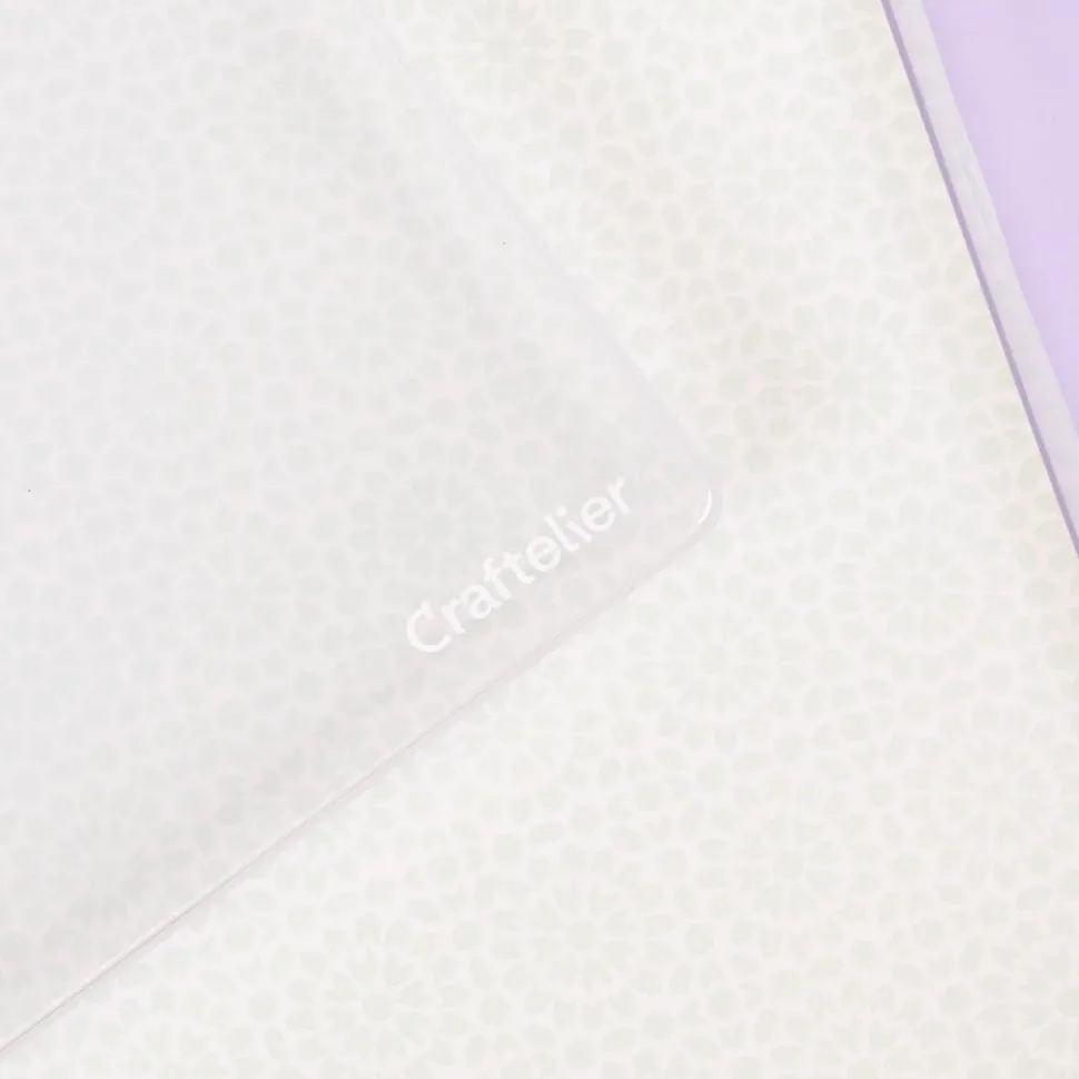 Caja de Almacenamiento Transparente Craftelier