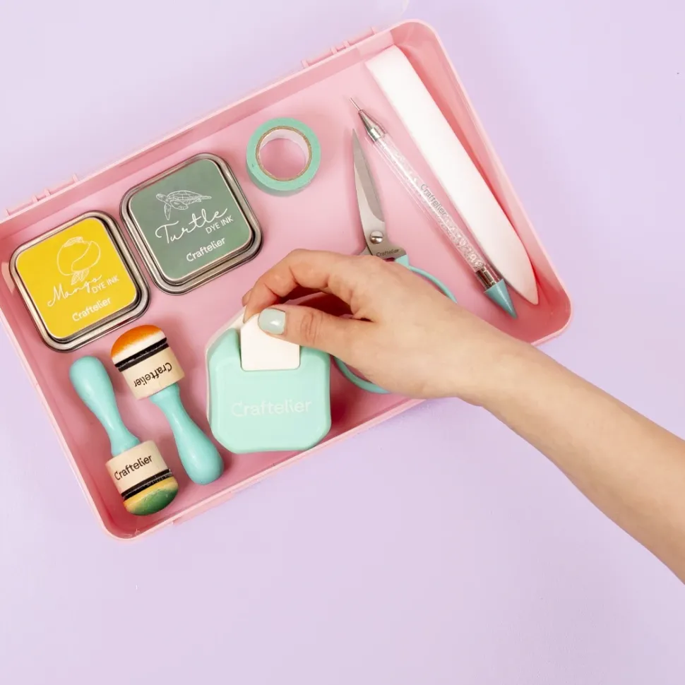 Caja de Organización Rosa Craftelier