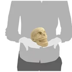 Calavera de Papel Maché Décopatch