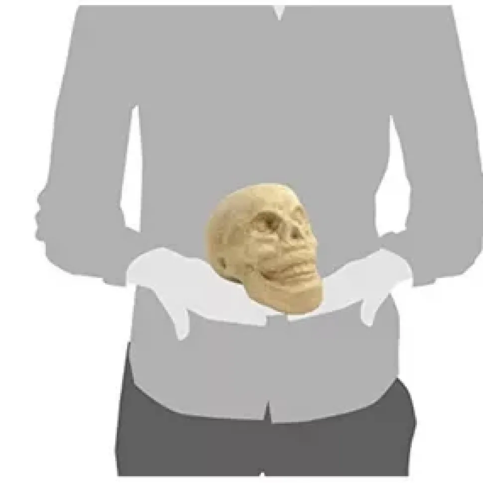 Calavera de Papel Maché Décopatch