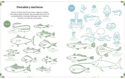 Cocina Craft Manualidades para minichefs