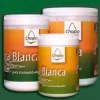 Cola Blanca para Manualidades