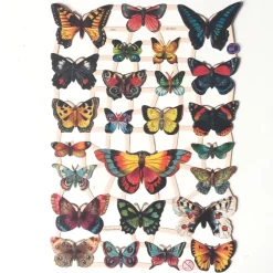 Cromos Alemanes 30-7324