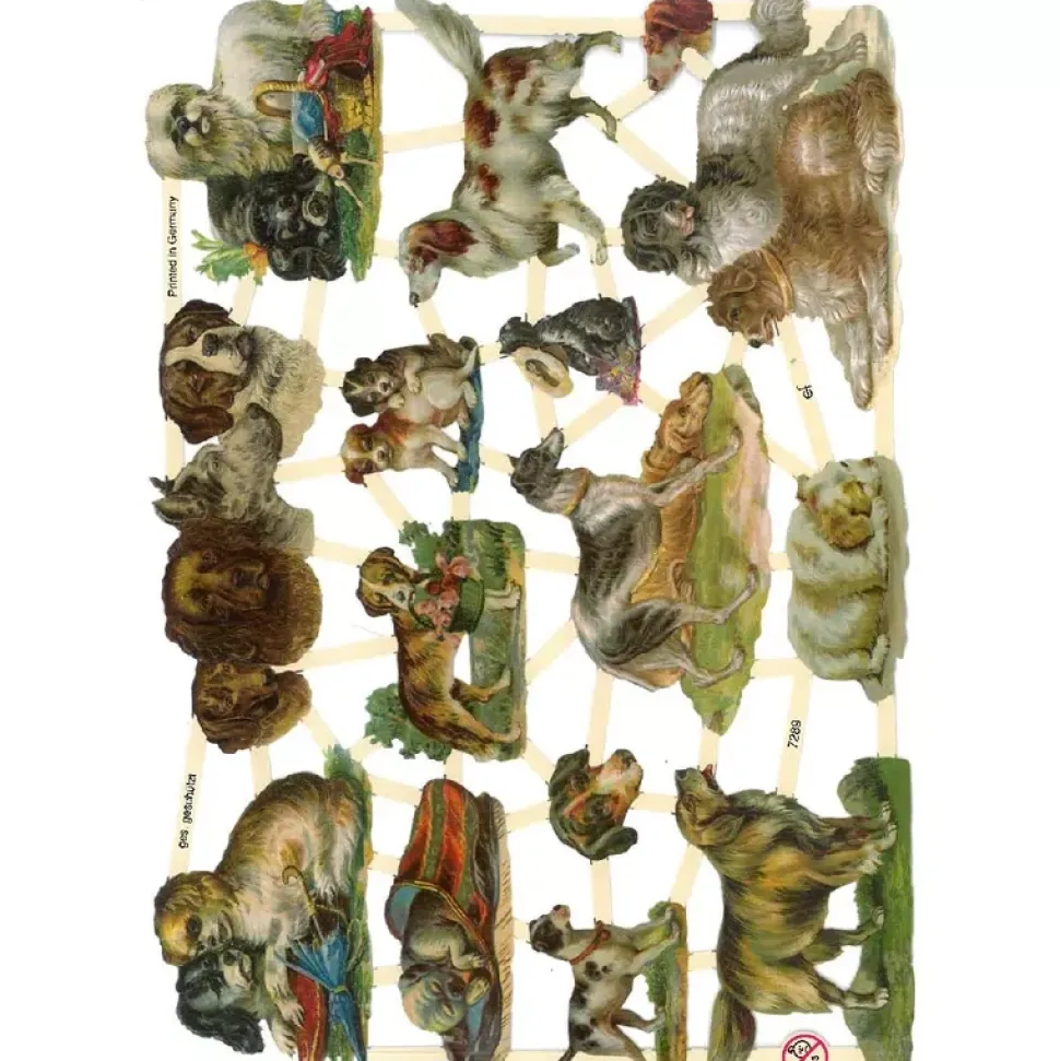 Cromos Alemanes 7289 Perros