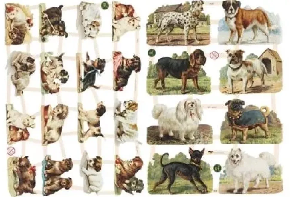 Cromos vintage perros Creativ Company