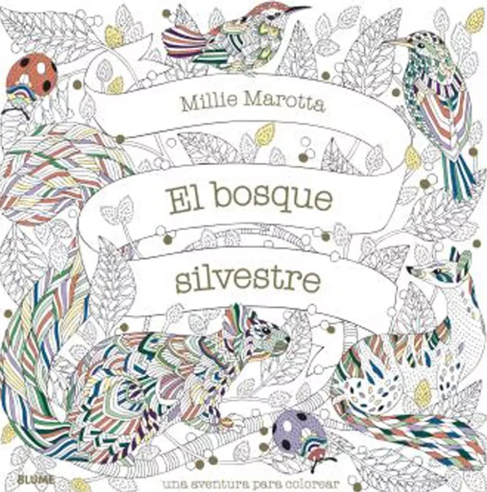 El Bosque Silvestre Libro de colorear