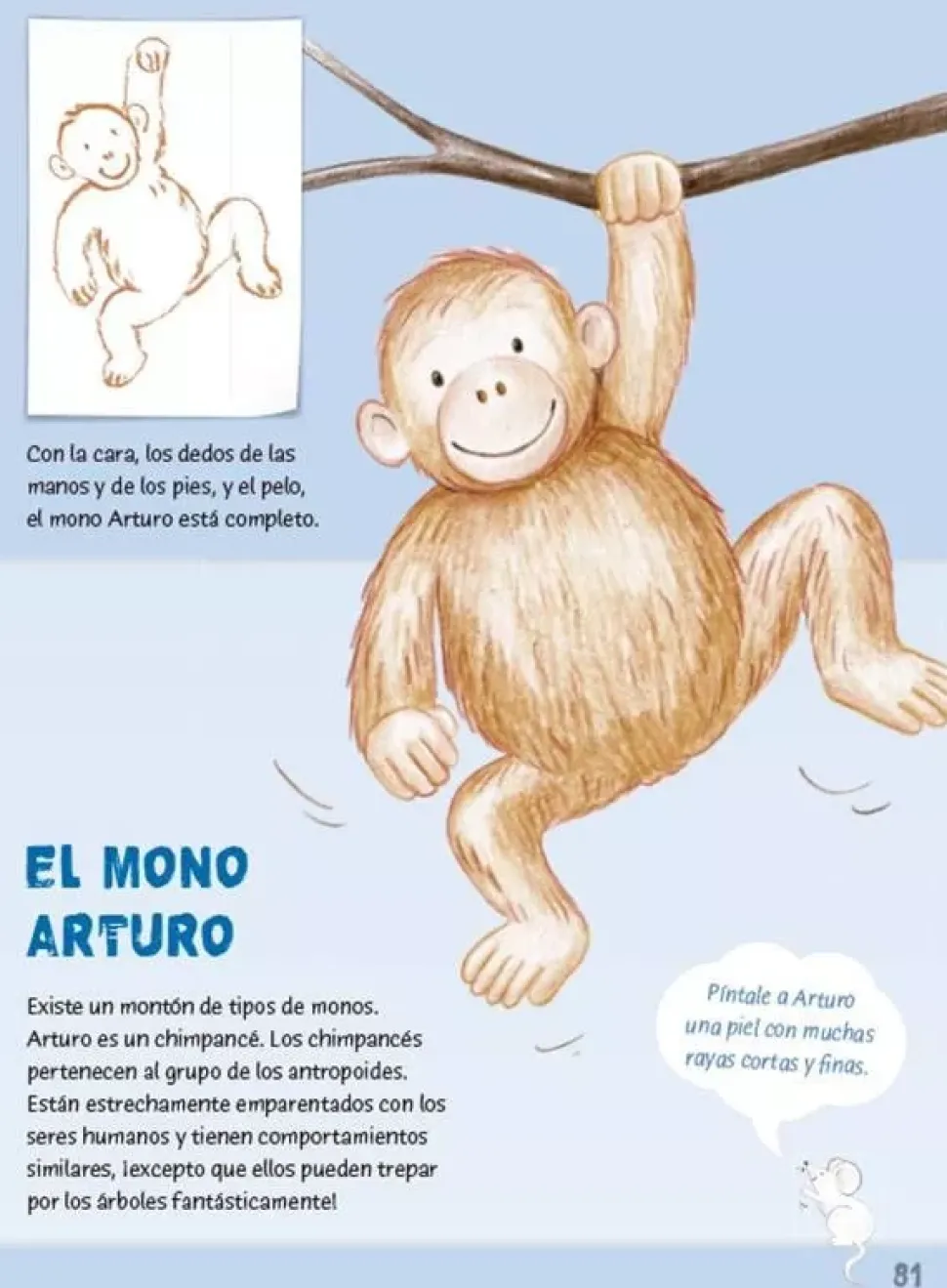 El Libro de pintar con los dedos para niños