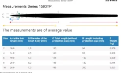 Estuche cuero 3 Pinceles redondos 5382 Casaneo da Vinci