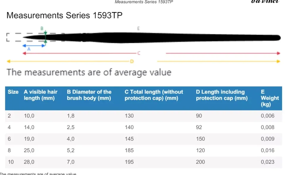 Estuche cuero 3 Pinceles redondos 5382 Casaneo da Vinci