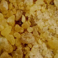 Goma Dammar Sennelier