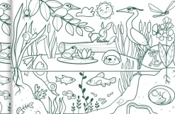 Graffy Roll Ecosistema Avenue Mandarine