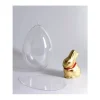 Huevo Transparente de Plástico