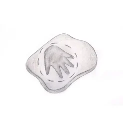 Kit Adorno Huella Bebé Rayher