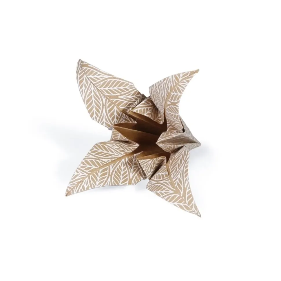 Kit de Papel para Origami Floral kraft Clairefontaine