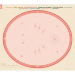 Kit Trofeo 3D Conejo Avenue Mandarine