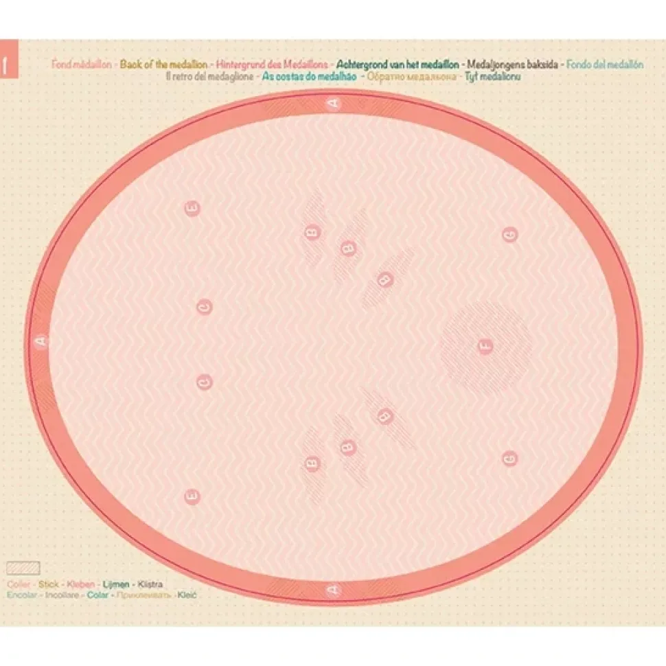 Kit Trofeo 3D Conejo Avenue Mandarine