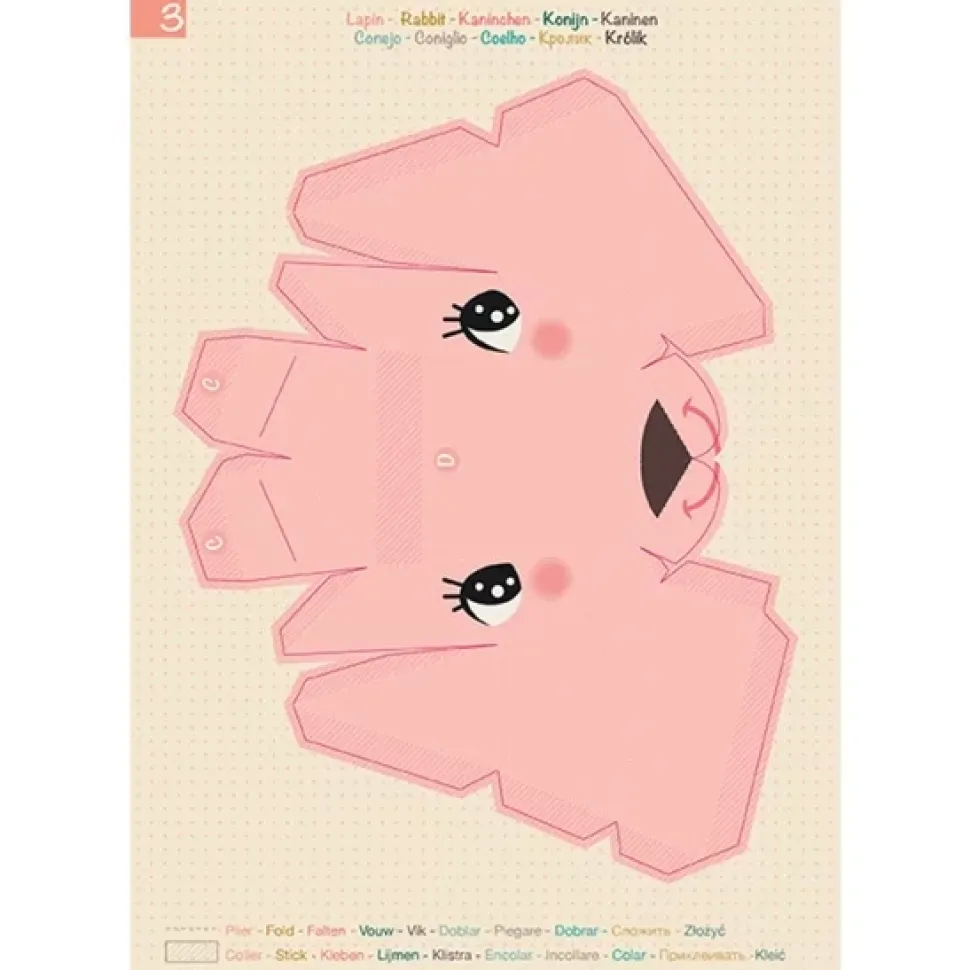 Kit Trofeo 3D Conejo Avenue Mandarine