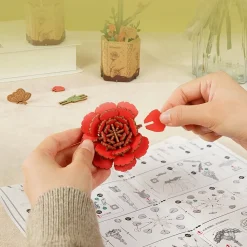 Maqueta Clavel rojo Robotime