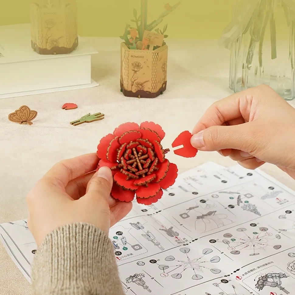 Maqueta Clavel rojo Robotime