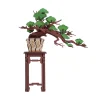 Maqueta Evergreen Pine Bonsai Robotime