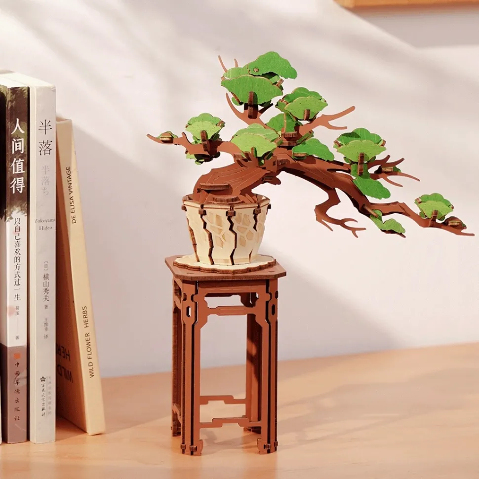 Maqueta Evergreen Pine Bonsai Robotime