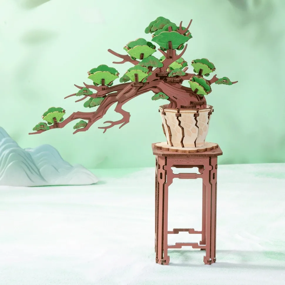 Maqueta Evergreen Pine Bonsai Robotime