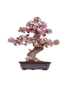 Maqueta Sakura Bonsai Robotime