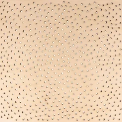 Marco con Diseño Relieve de Madera Conejo Mariposa Artemio