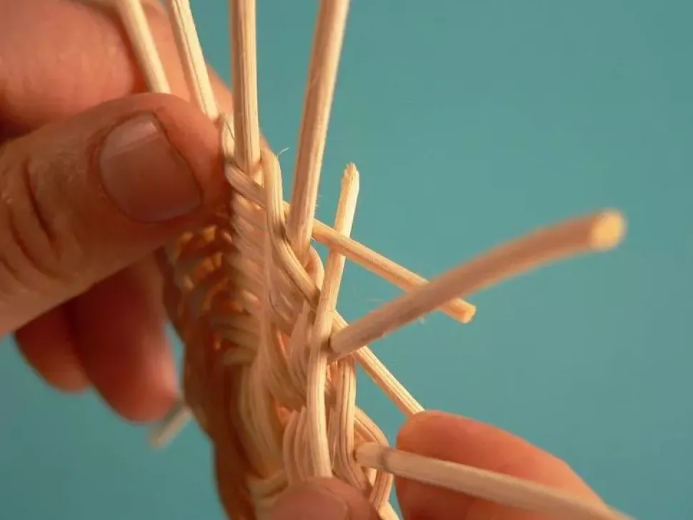 Médula de junco para cestería 2,2mm 500g