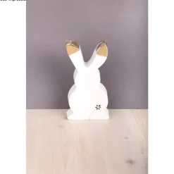 Molde PET Silueta Conejo Rayher