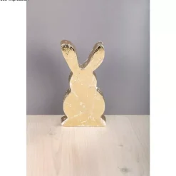 Molde PET Silueta Conejo Rayher