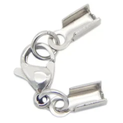 Mosquetón plata con garra