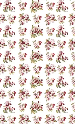 Papel de Arroz Cherrys V Fruits Market PapersForYou 54x33cm