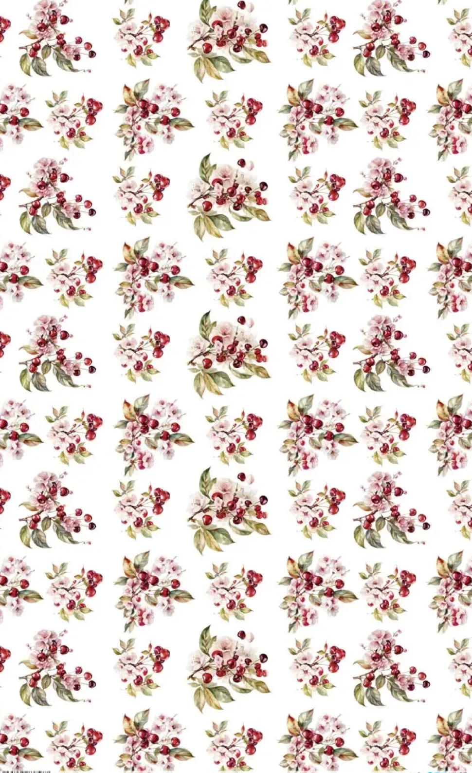 Papel de Arroz Cherrys V Fruits Market PapersForYou 54x33cm