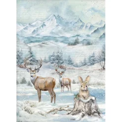 Papel de arroz Fauna The Owl's House Stamperia 21x30cm