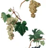 Papel de Arroz Grapes PapersForYou 54x33cm