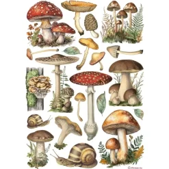 Papel de arroz Hongos Best Sellers Stamperia 21x30cm