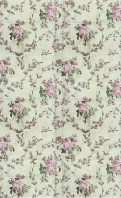 Papel de arroz I The Radiant Princess PapersForYou 54x33cm