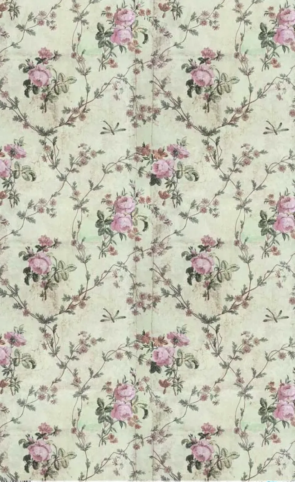 Papel de arroz I The Radiant Princess PapersForYou 54x33cm