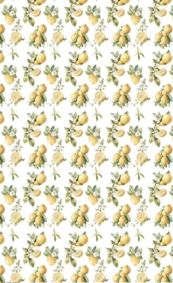Papel de Arroz Lemon V Fruits Market PapersForYou 54x33cm