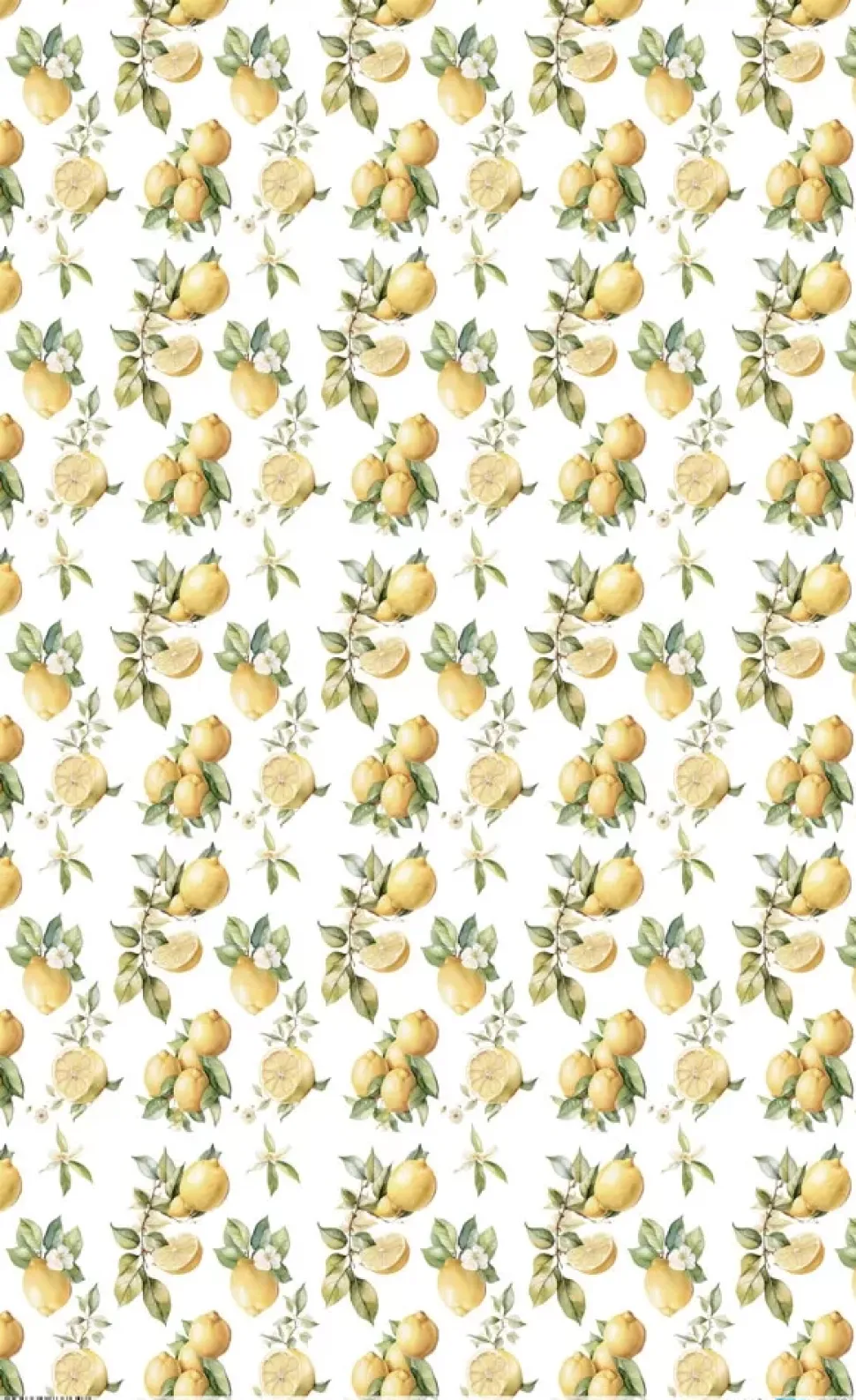 Papel de Arroz Lemon V Fruits Market PapersForYou 54x33cm