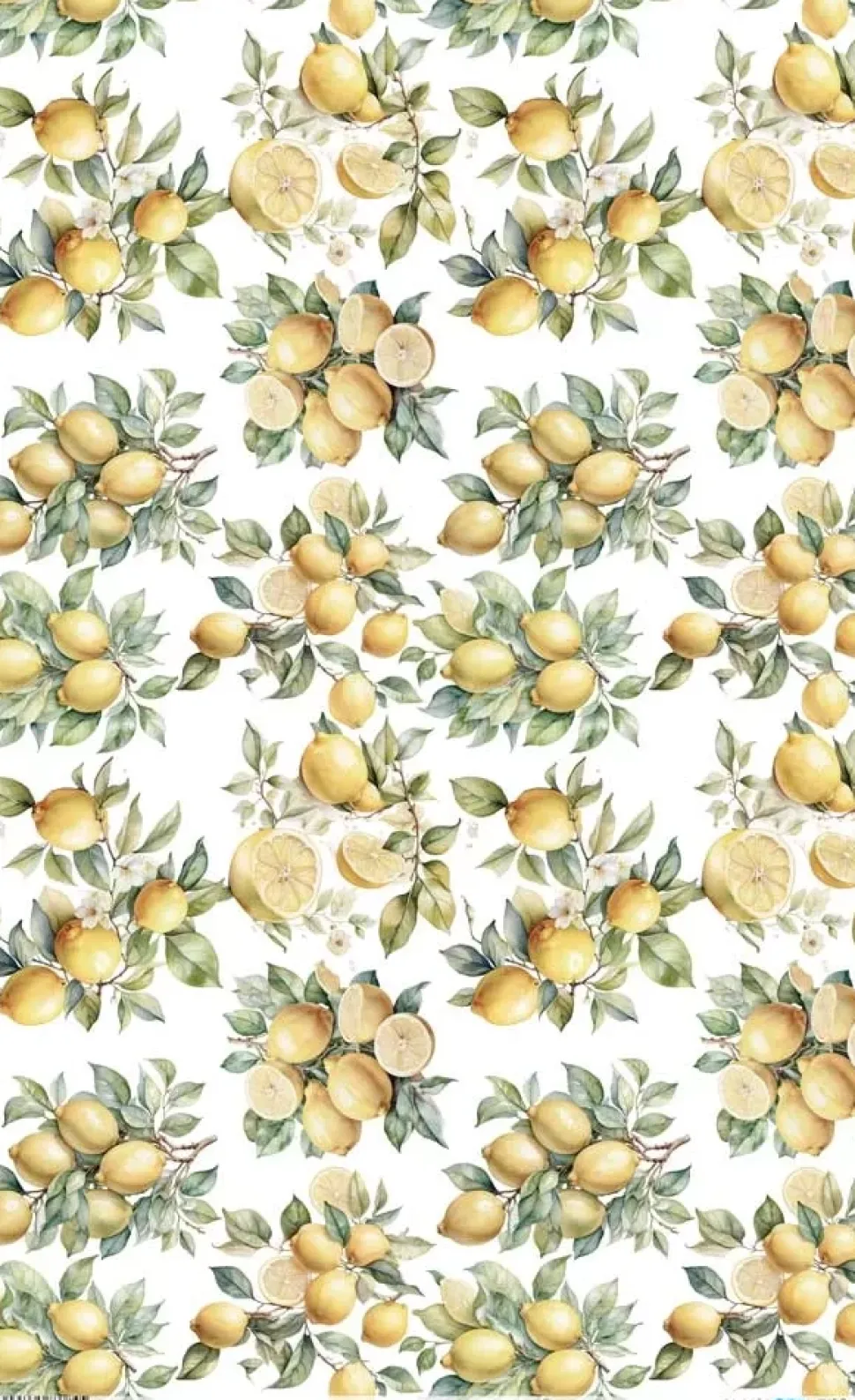 Papel de Arroz Lemon VII Fruits Market PapersForYou 54x33cm